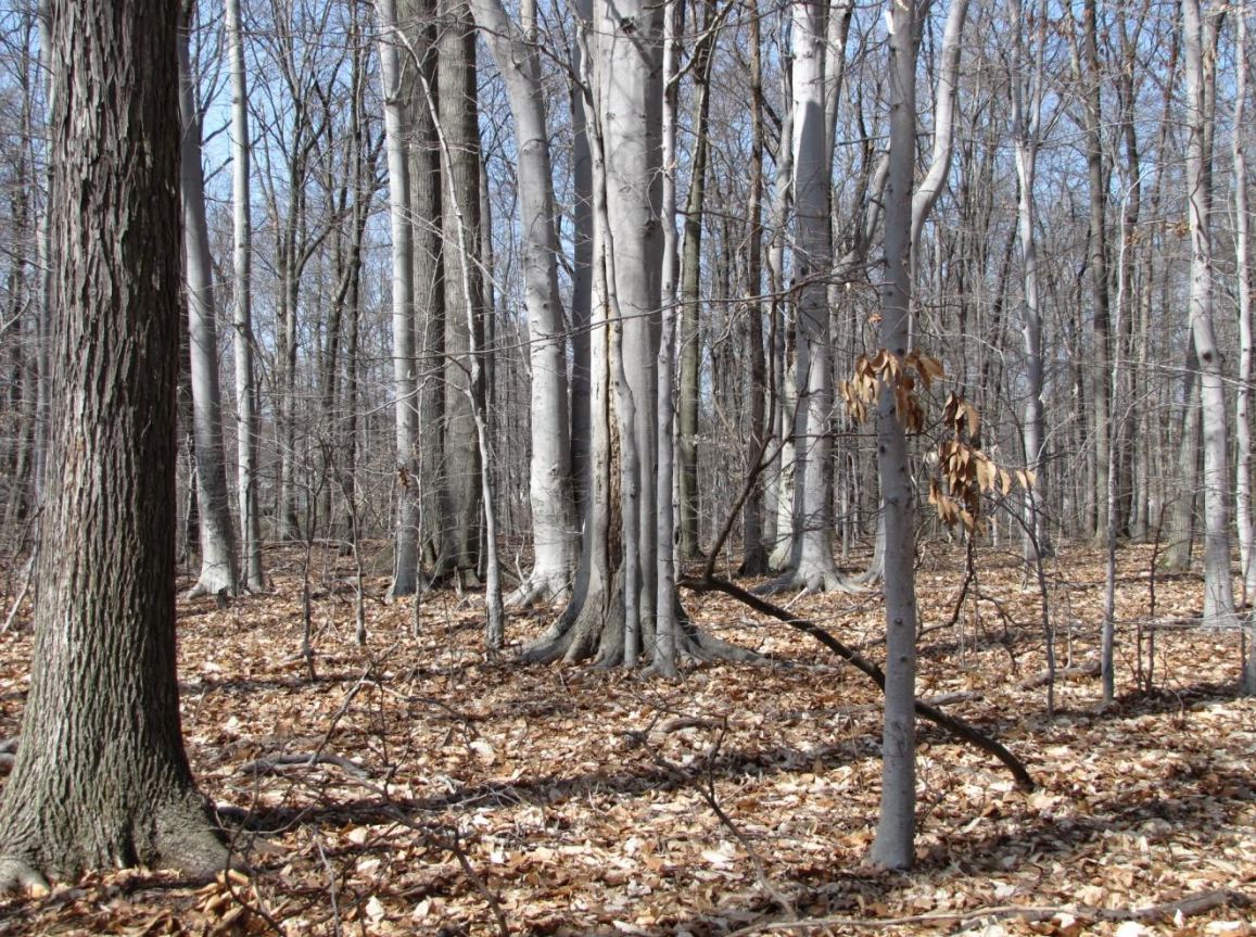 Slideshow / Applewood Park / Montgomery Township, PA