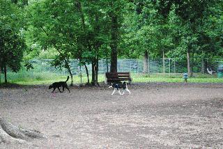 barkpark2