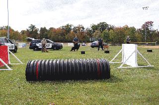 IMG_5752