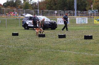 IMG_5854