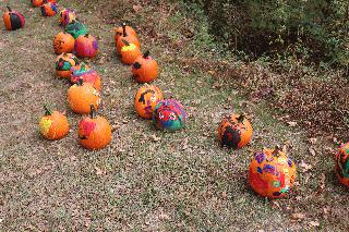 pumpkin2