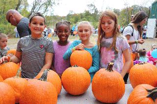 pumpkingroupsmile