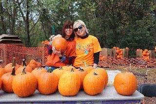 pumpkintanya